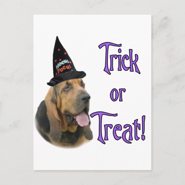 Bloodhound Trick Postcard (Front)