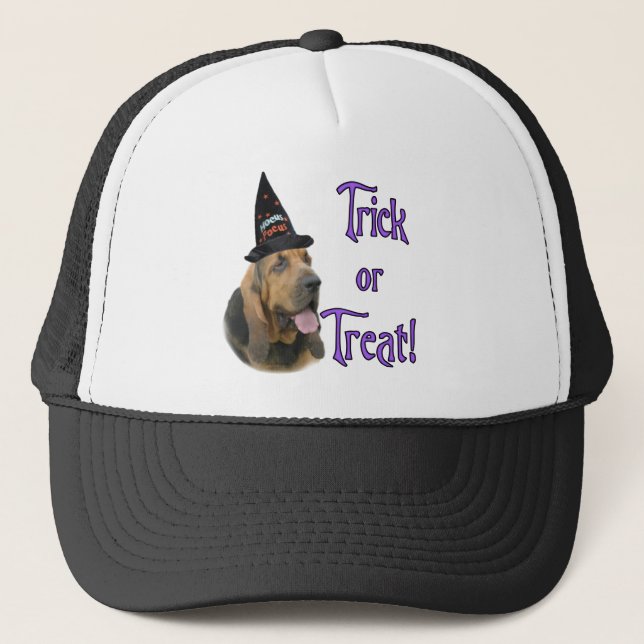 Bloodhound Trick Trucker Hat (Front)