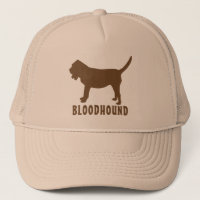 Bloodhound