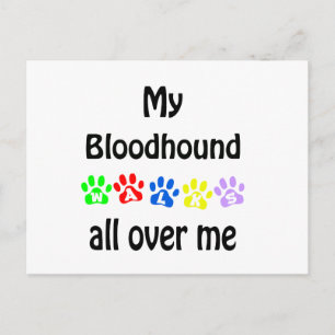 Bloodhound Walks Design Postcard