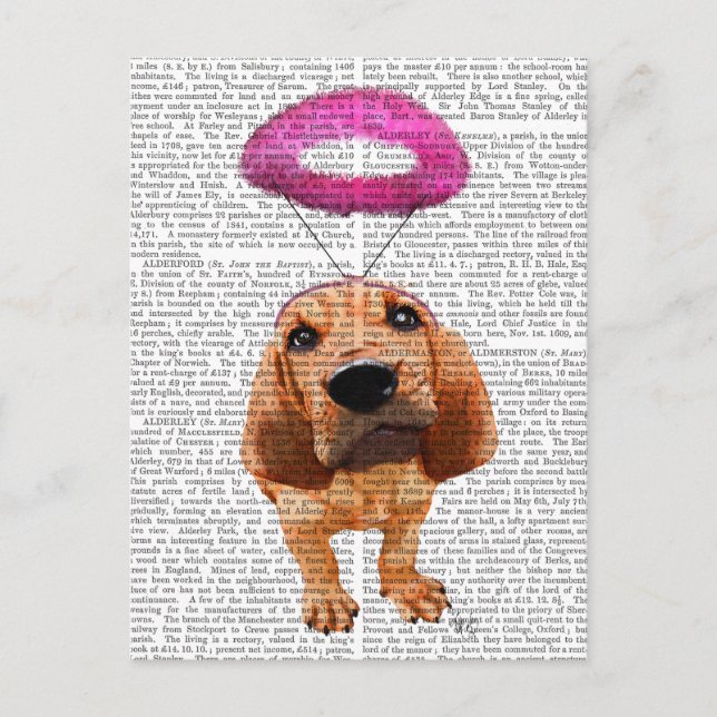 Bloodhound With Angelic Pink Halo Postcard (Front)
