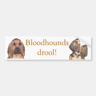 Bloodhounds drool! bumper sticker
