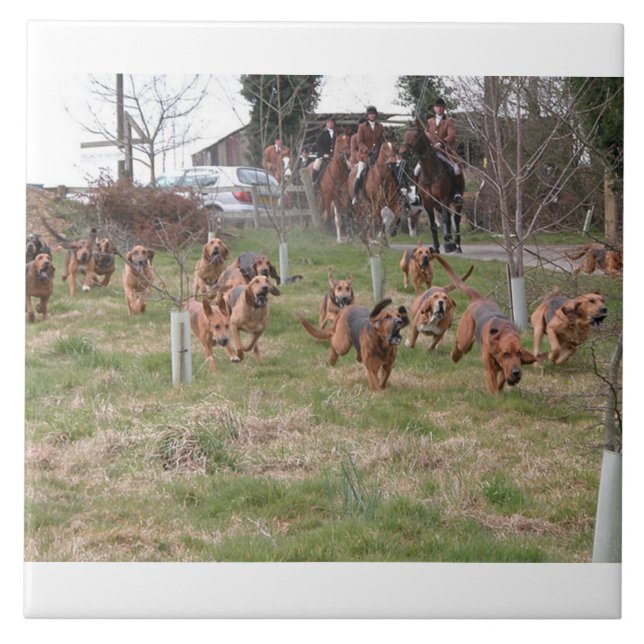 bloodhounds working.png tile (Front)