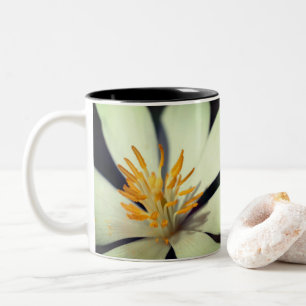 Bloodroot Flower Centre Personalised Two-Tone Coffee Mug