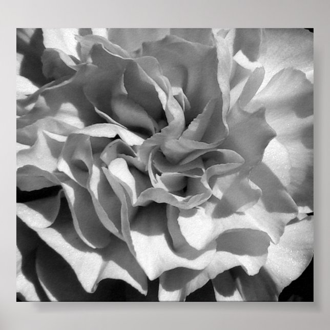 Bloom #4 poster (Front)