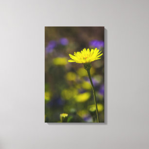 Bloom Canvas Print