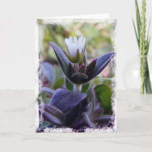 Bloom Card