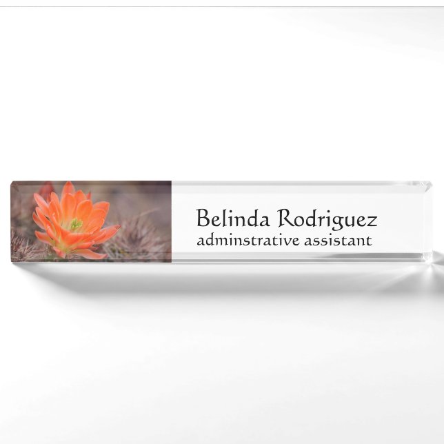 Bloom in Orange Nameplate (Front)
