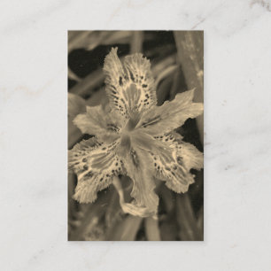 bloom in purple business card