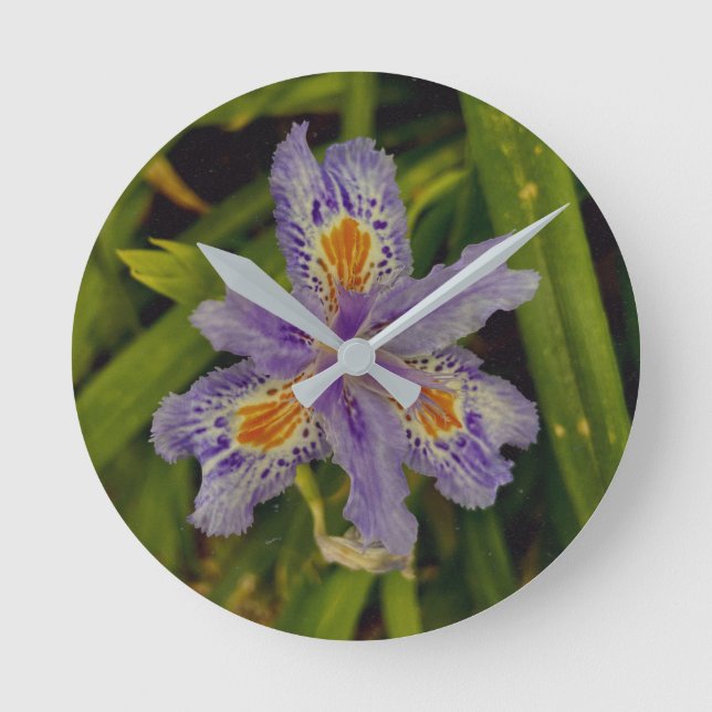 bloom in purple  round clock (Front)