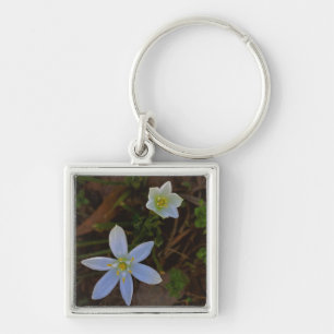 bloom in white  key ring