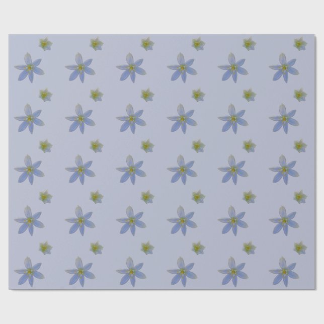 bloom in white  wrapping paper (Flat)