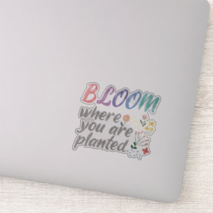 Bloom Where you are Planted