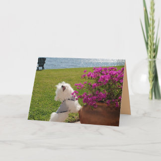 Bloom where you are planted greeting card image