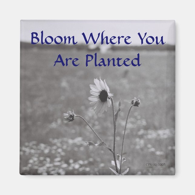 Bloom Where You Are Planted Magnet (Front)