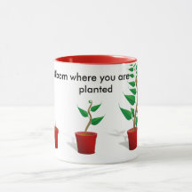 Bloom Where You Are planted mug