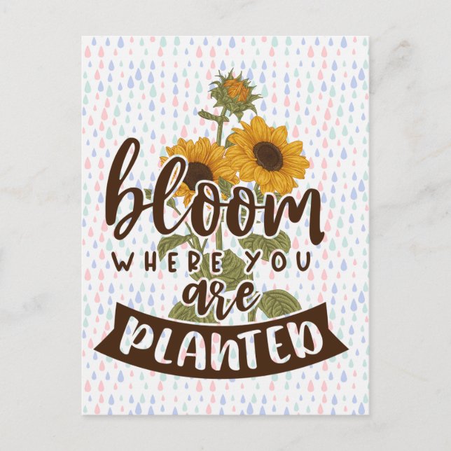 Bloom Where You Are Planted Postcard (Front)