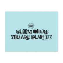 Bloom where you are planted.