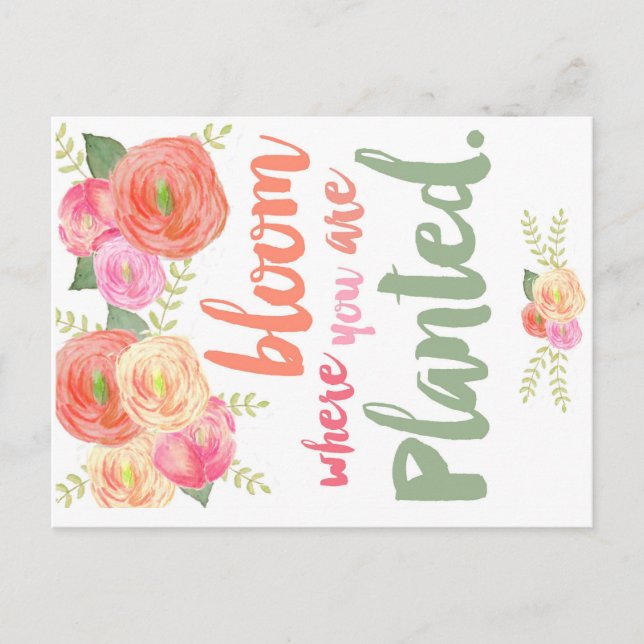 Bloom where you are planted postcard (Front)