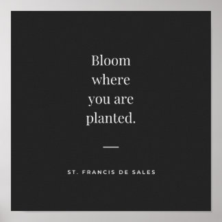 Bloom where you are planted St Francis de Sales Poster
