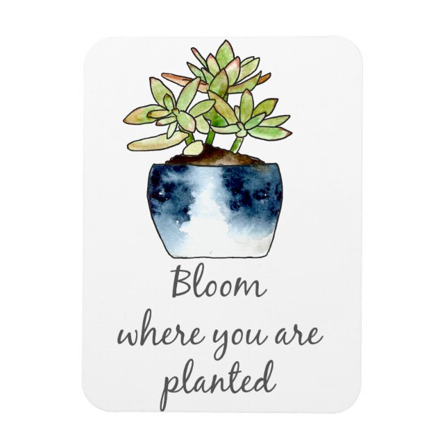 Bloom Where You Are Planted Succulent Magnet (Vertical)