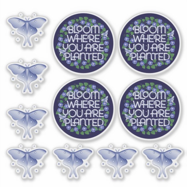 Bloom Where You Are Planted Transparent Vinyl  (Front)