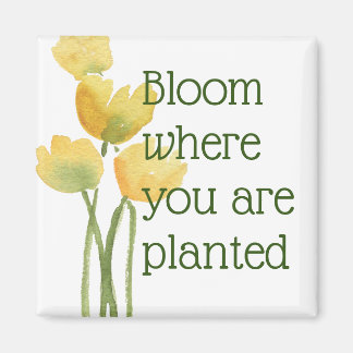 Bloom Where You Are Planted Watercolor Wildflower Magnet