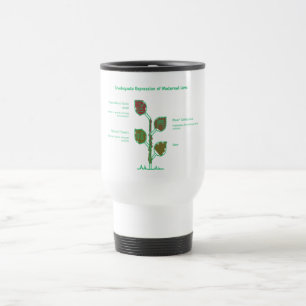 Bloom Where You’re Loved – Floral Inspirational Travel Mug