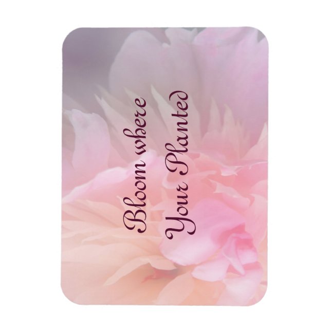 Bloom Where Your Planted Blush Floral Magnet (Vertical)