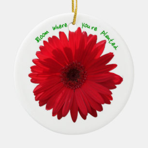 Bloom where you're planted ornament