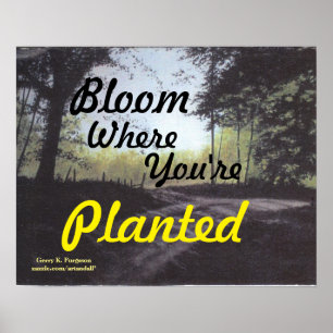 "BLOOM WHERE YOU'RE PLANTED" POSTER