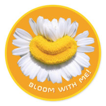 "bloom with me!" Charmomilla Smiles Orange