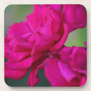 Bloomed Pink Rose Coaster