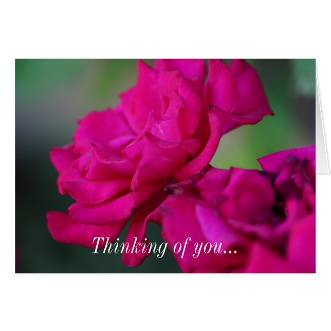 Bloomed Pink Rose Thinking Of You Card (Front Horizontal)