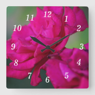 Bloomed Pink Rose Wall Clock