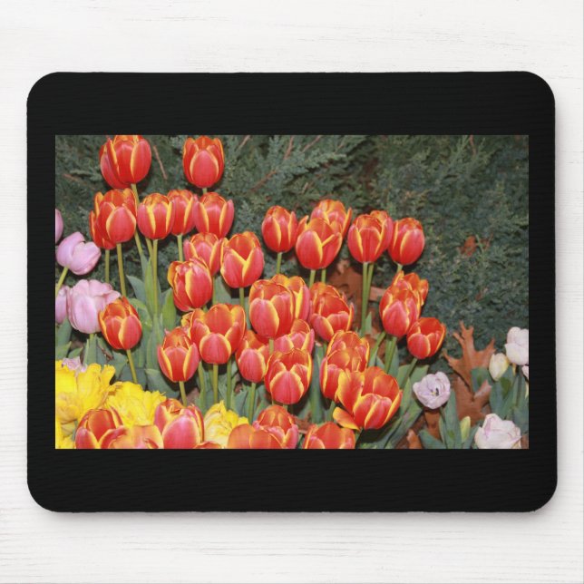 Bloomin' Tulips! Mouse Pad (Front)