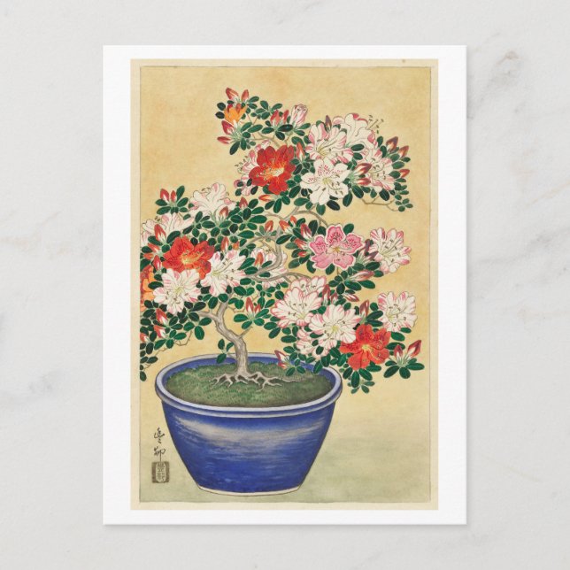 Blooming Azalea in Blue Pot Vintage Woodcut Postcard (Front)
