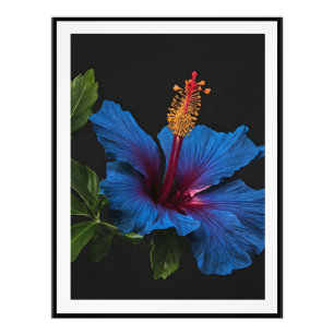 Blooming Blue Hibiscus Flower, Photo Print