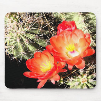 Blooming Cactus at Night Mouse Pad