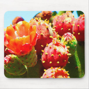 Blooming Cactus by Amy Vangsgard Mouse Pad