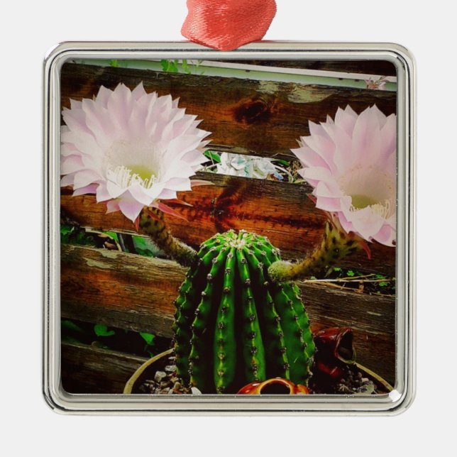 Blooming Cactus #succulent Metal Tree Decoration (Front)