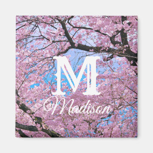 Blooming Cherry Blossoms Magnet