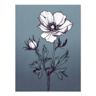 Blooming Elegance: White Flower on Serene Blue Photo Print