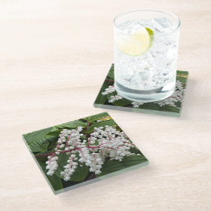 Blooming False Solomon's Seal Plant Floral Glass Coaster