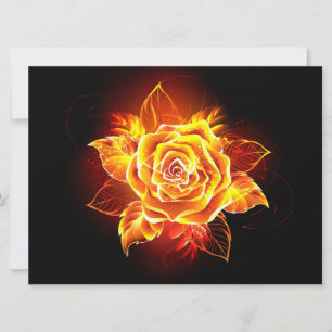 Blooming Fire Rose