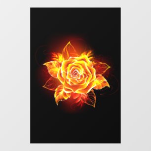 Blooming Fire Rose