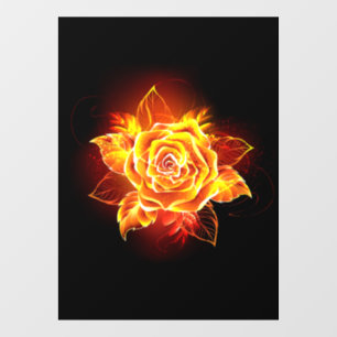 Blooming Fire Rose