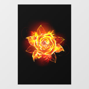 Blooming Fire Rose