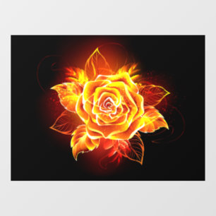Blooming Fire Rose