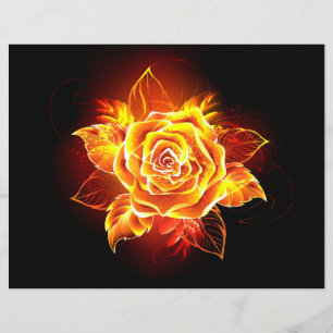 Blooming Fire Rose